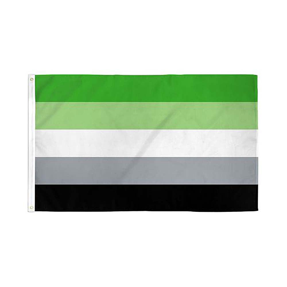 Aromantic Pride Flag 3' x 5' Polyester Flags Importer