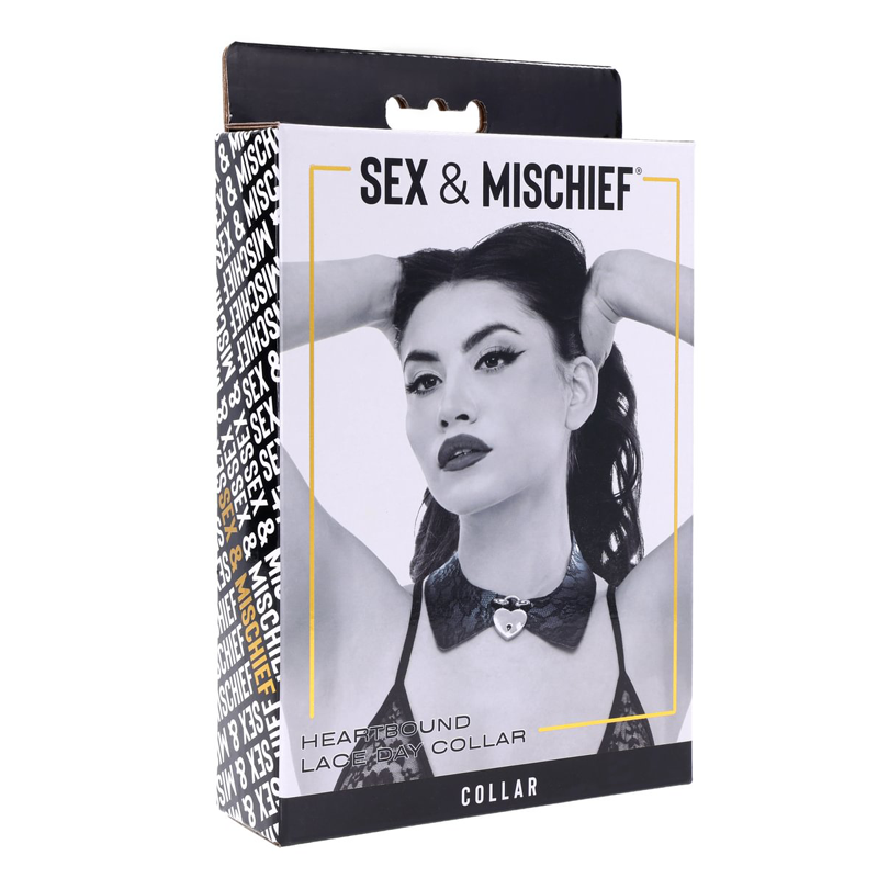 Heartbound Lace Day Collar - Black