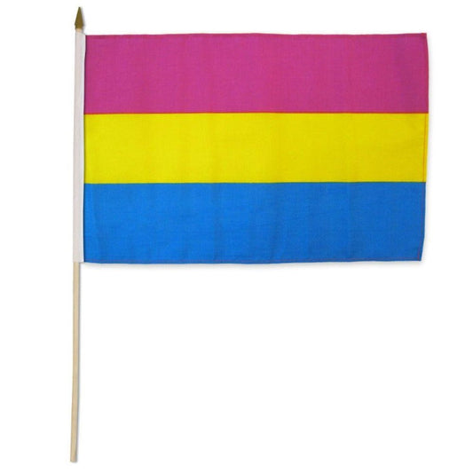 Pansexual 12" x 18" Flag Flags Importer