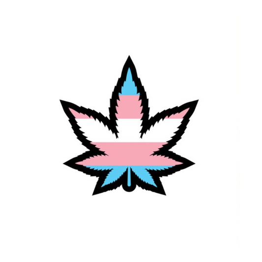 Enamel Pin: Trans Weed Leaf
