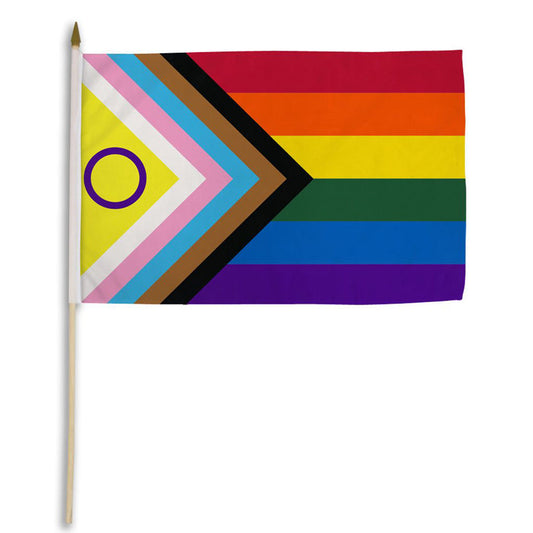 Inclusive Pride 12" x 18" Stick Flag Flags Importer